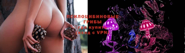 соль курить ск Богданович