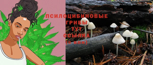 соль курить ск Бородино